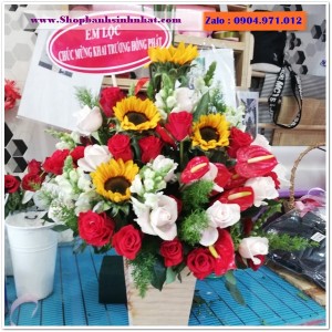 Hoa Tươi Tặng Khai Trương - OK14